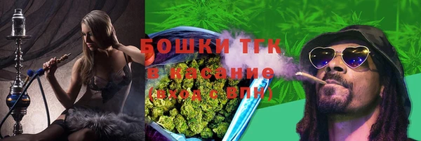 стафф Покачи