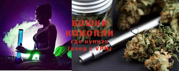 стафф Покачи